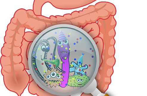 Illustration of human digestive system highlighting gut microbiome