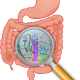 Illustration of human digestive system highlighting gut microbiome