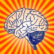 gut-brain connection highlighting the microbiome’s impact on mental health.