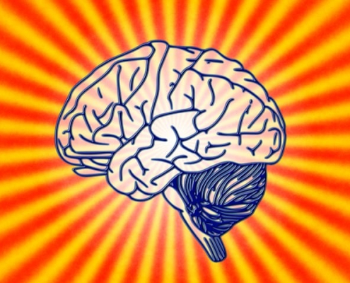 gut-brain connection highlighting the microbiome’s impact on mental health.
