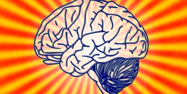 gut-brain connection highlighting the microbiome’s impact on mental health.