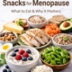 High-protein snacks for menopause including Greek yoghurt with berries, grilled chicken, eggs, edamame, salmon, cheese and nuts arranged on a light background.